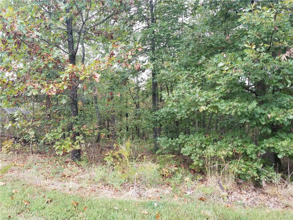 Stone Ridge Estates Rurban - Land
