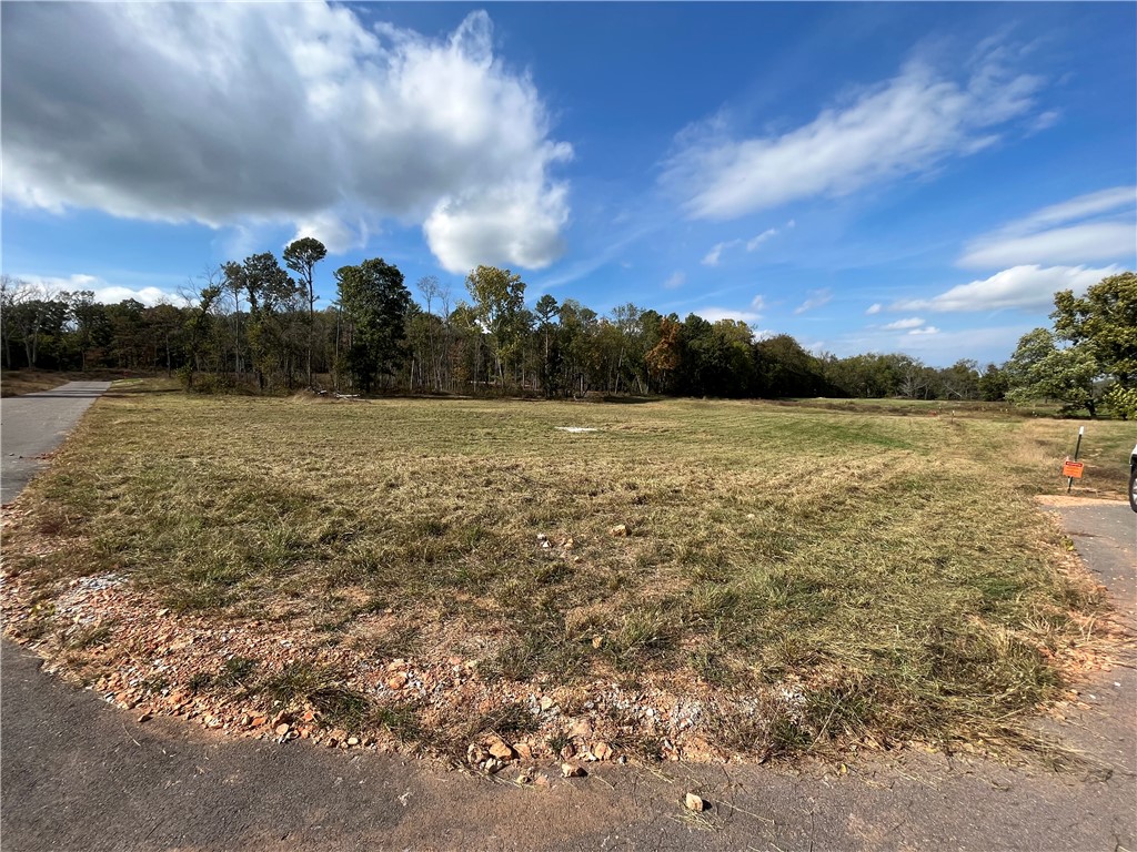 3.87 acres of wooded, gently rolling land.  Residents enjoy access to a 7+ acre common area along Little Osage Creek that runs through the neighborhood.  This neighborhood is perfect for fishing, exploring, or relaxing.  Utilities are available at the street. This property combines a peaceful retreat with quick access to everything Northwest Arkansas has to offer.
