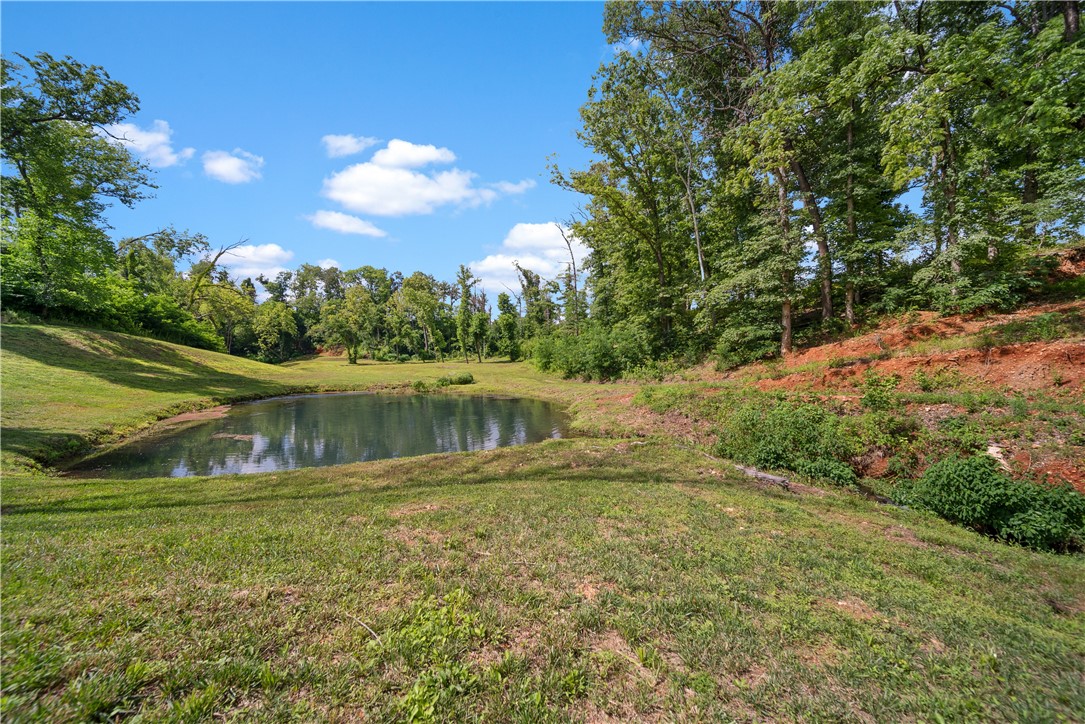 Healing Springs Phase 2 - Land