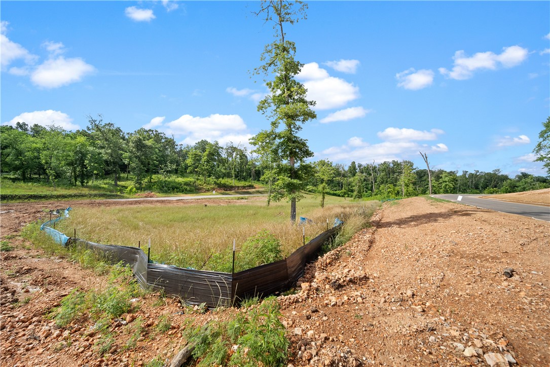 Healing Springs Phase 2 - Land