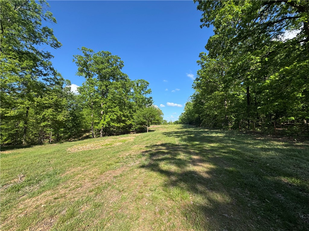 "Prime opportunity! Beautiful 10.9-acre unrestricted parcel perfectly positioned in a rapidly growing area, making it an excellent choice for your dream home, investment, or future development. Enjoy easy access with a 50-foot-wide easement from S. Pleasant Valley Road. The property already includes a well, with city water and electricity to be provided by the city at the front of the lot. Portions of the land are cleared and ready for building, while the remaining wooded areas provide natural beauty and privacy. A rare combination of convenience, flexibility, and potential—don’t miss it!" Might be able to subdivide in 2 lots.