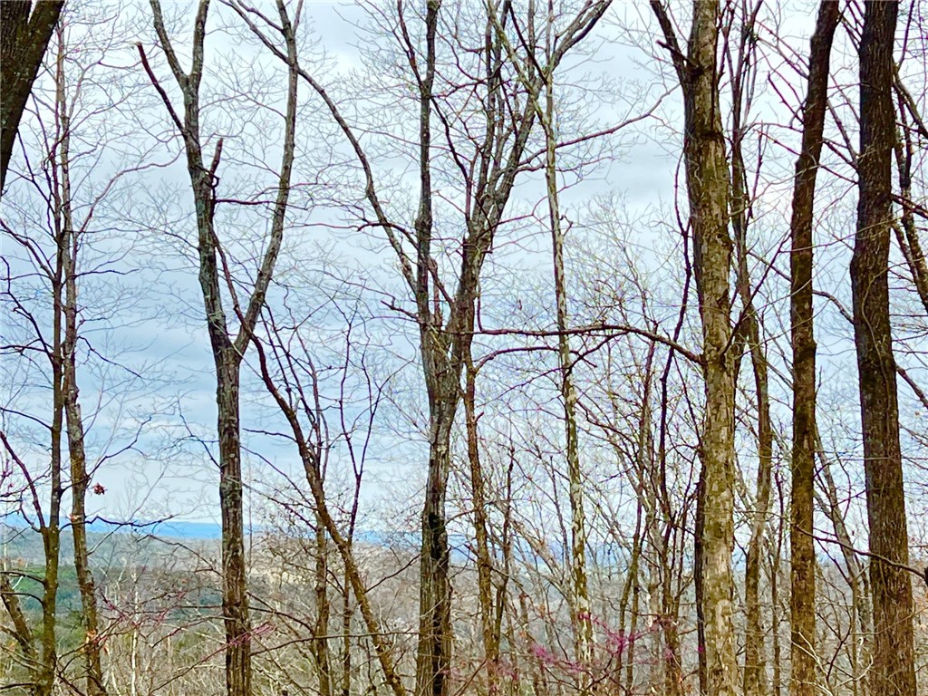 2 Large tracts of land sitting in the perfect rural location between Berryville and Eureka Springs. There is great potential at this property to take advantage of the slope and do a bit of clearing to reveal an amazing and expansive long range northern exposure view. Privacy is paramount in this rural setting as there are only a handful of neighbors. There are huge rock bluffs across the street that seriously add to the charm of the property. This beautiful acreage is a total of 1 1/2 miles off the pavement on a gravel road that will also help to ensure low levels of traffic promoting the privacy and tranquility you have been hoping for.