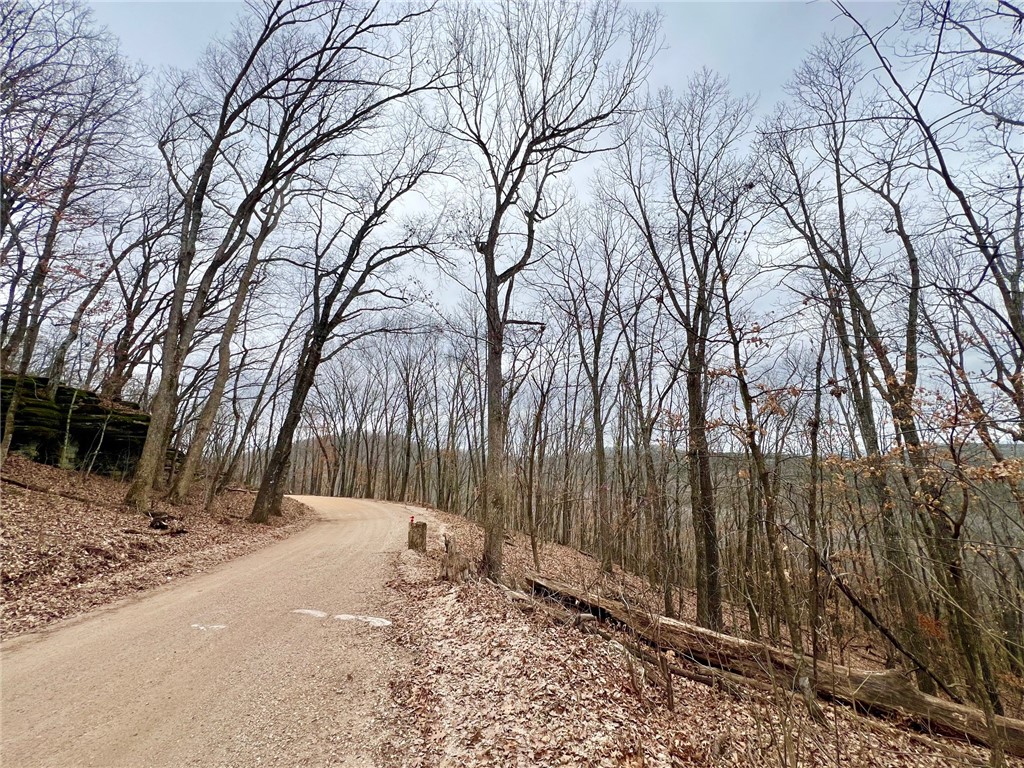 Mo Ark View Estates - Land
