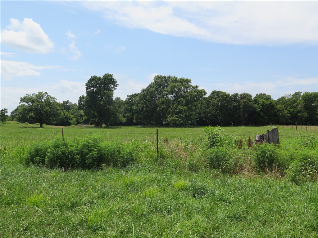 Tontitown Outlots - Land