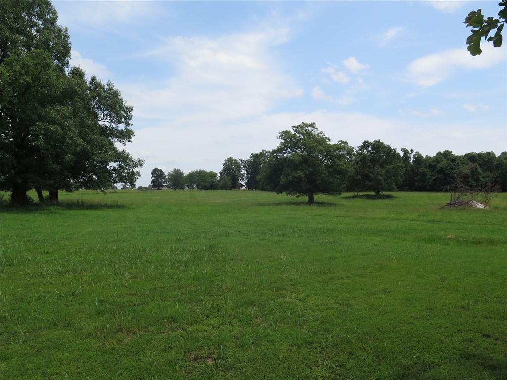 Tontitown Outlots - Land
