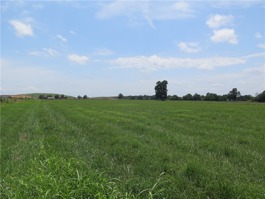 Tontitown Outlots - Land