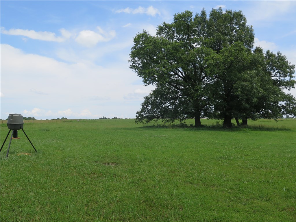 Tontitown Outlots - Land