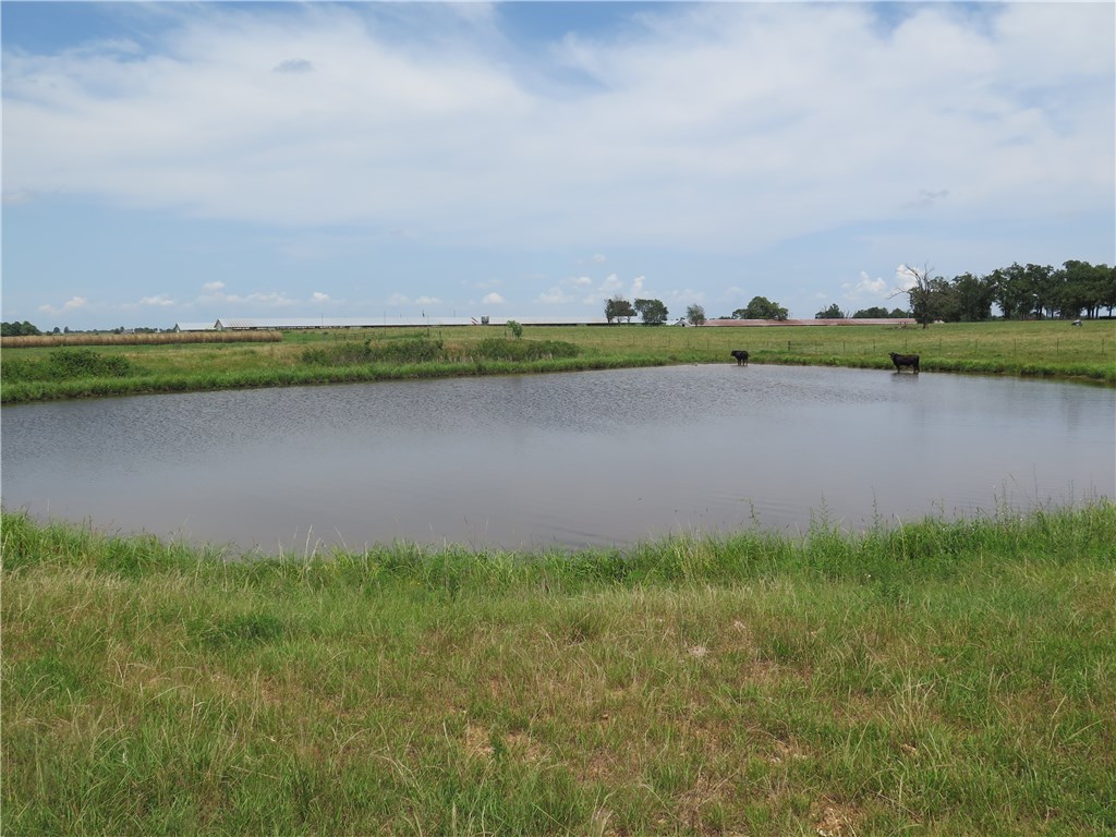 Tontitown Outlots - Land