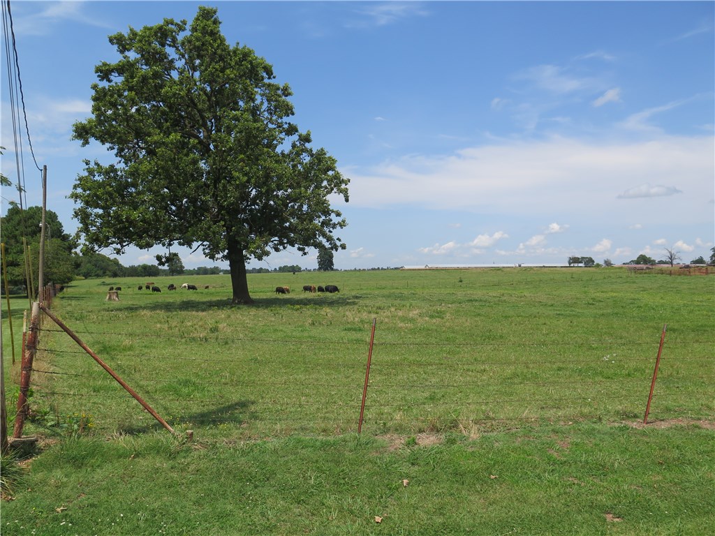 Tontitown Outlots - Land