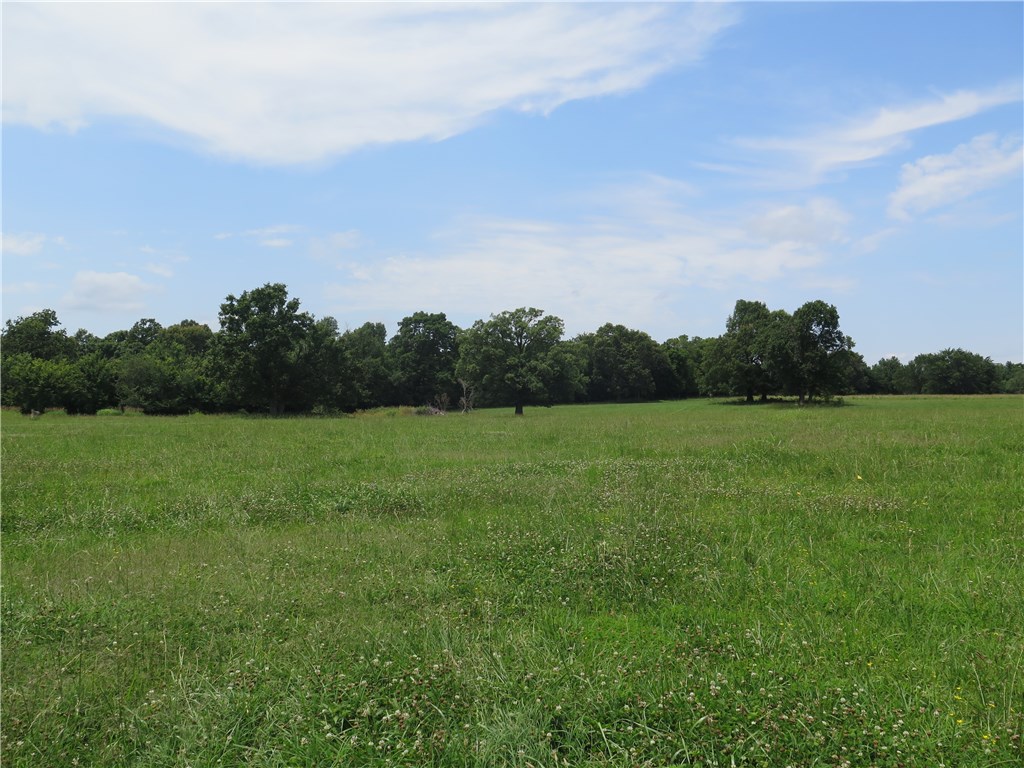 Tontitown Outlots - Land
