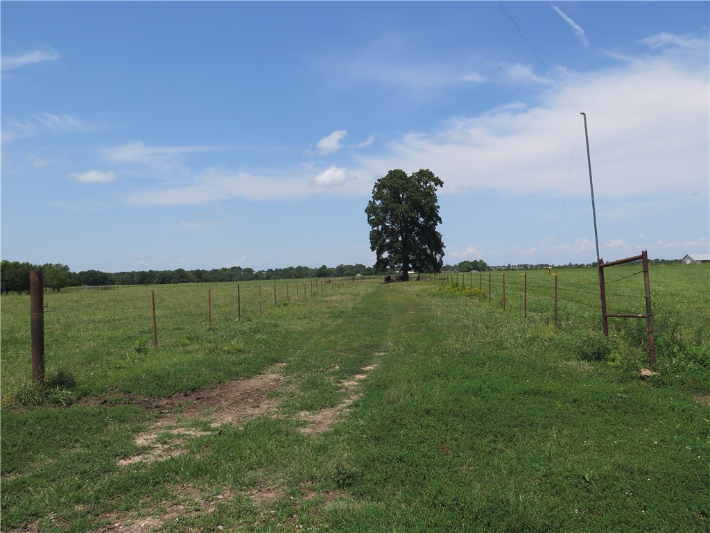 Tontitown Outlots - Land