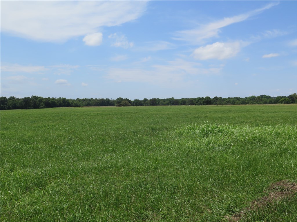Tontitown Outlots - Land