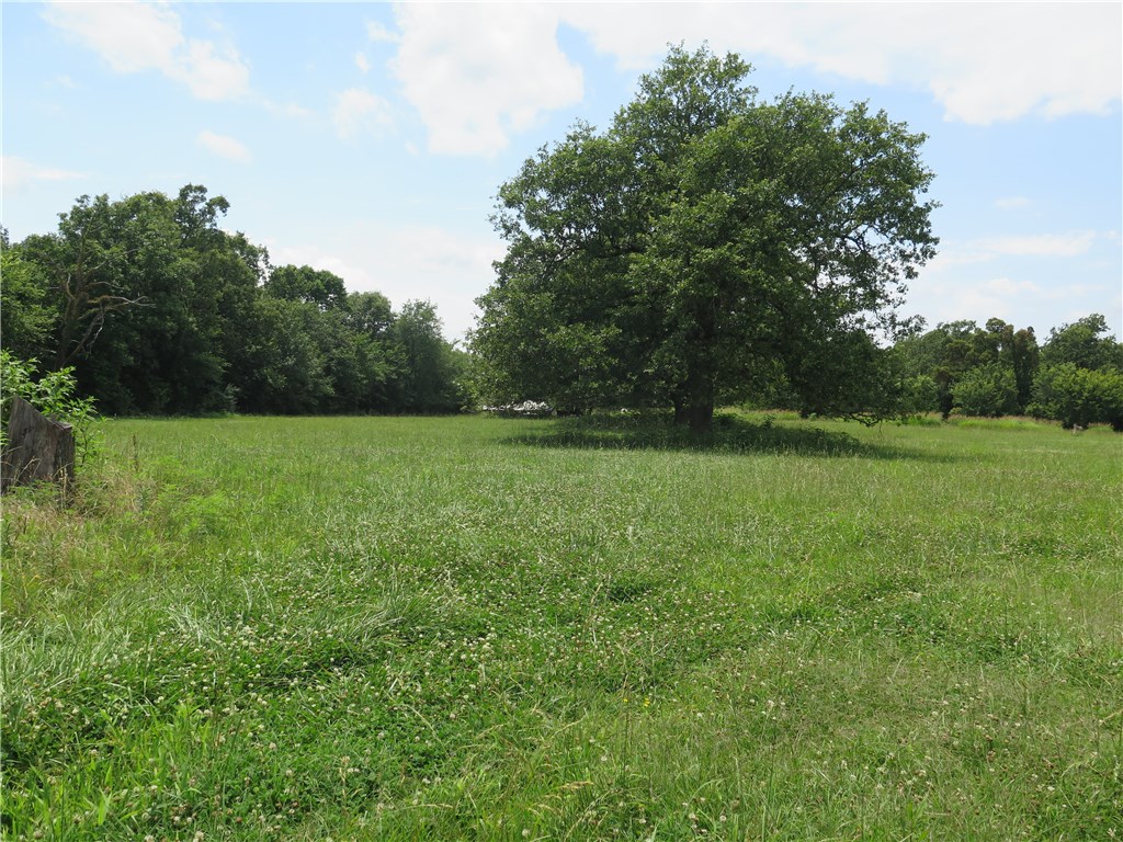 Tontitown Outlots - Land