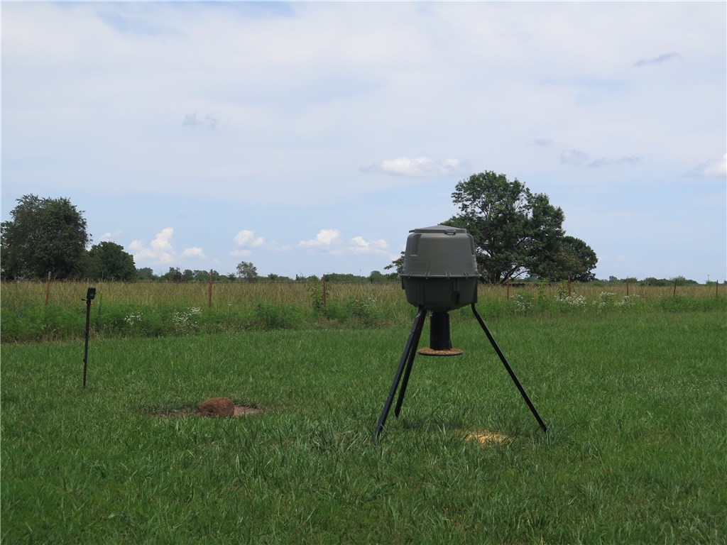 Tontitown Outlots - Land