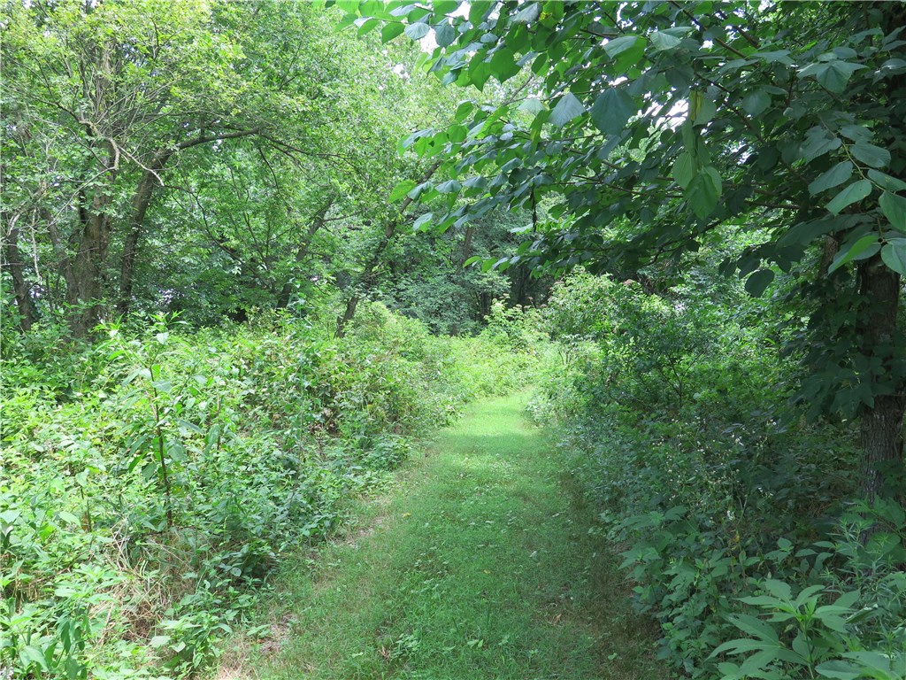 Tontitown Outlots - Land