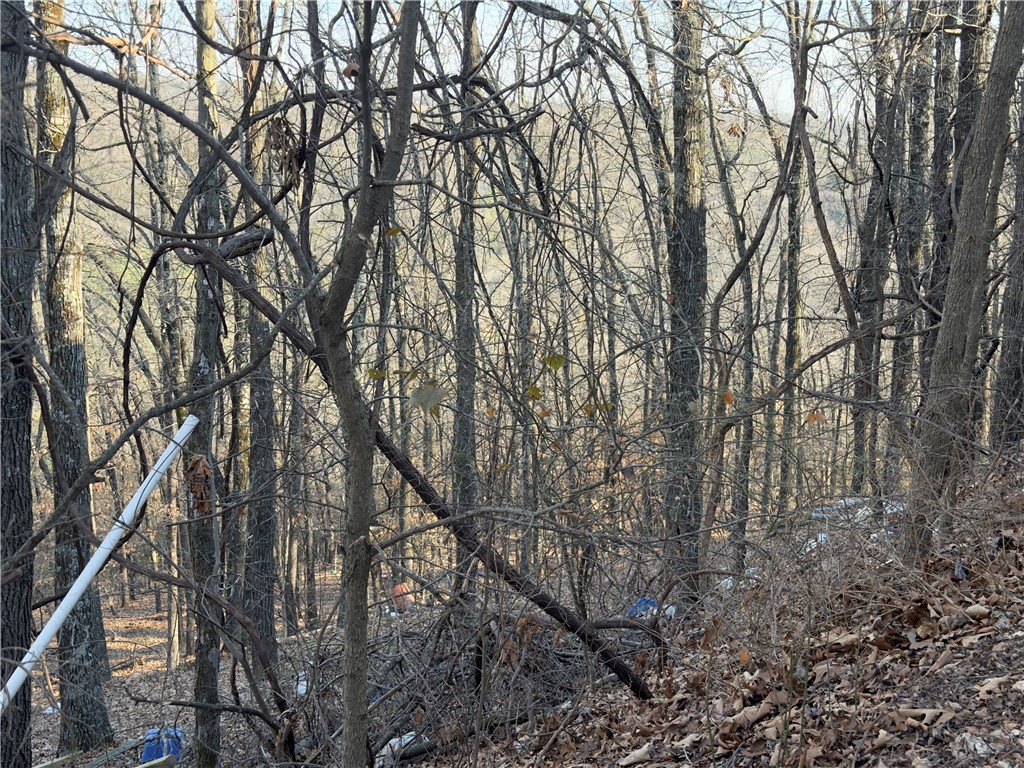 Mo Ark View Estates - Residential
