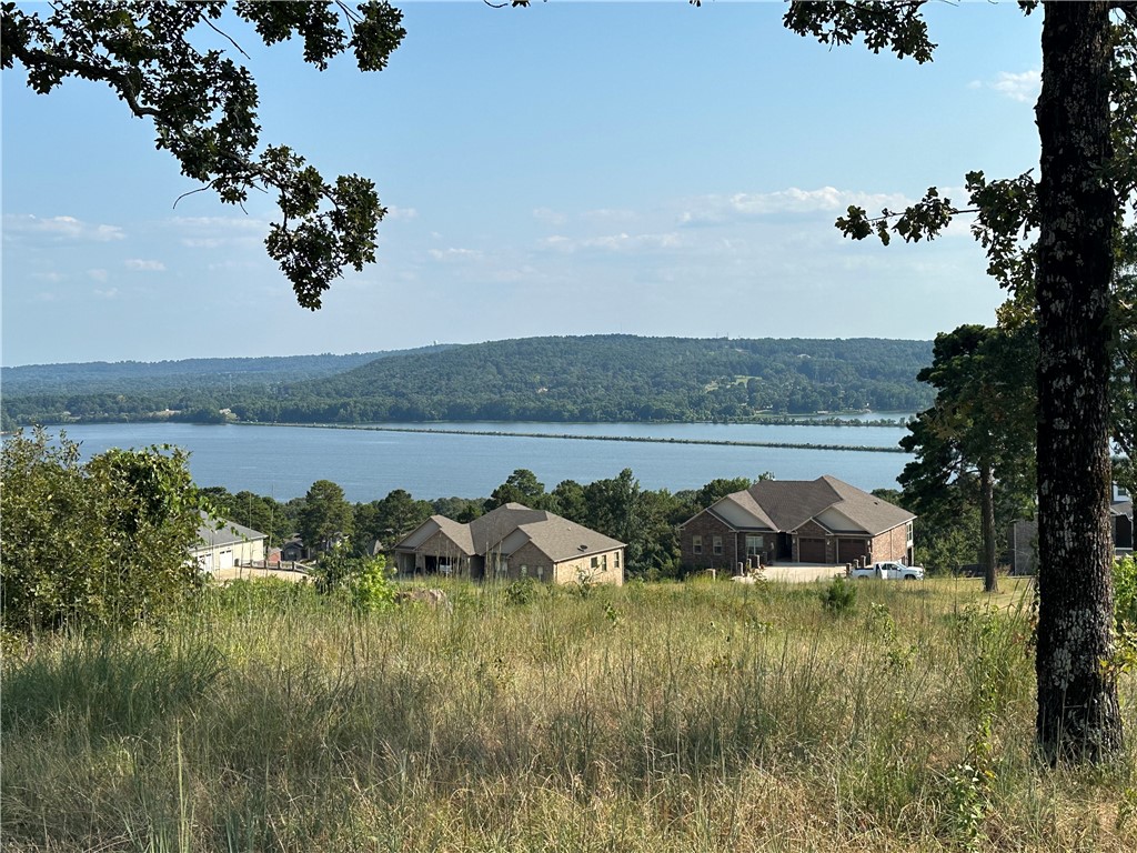 Build your future home here, where Russellville, Arkansas has the best views to offer. Utilities are at the road and you'll be right outside of town. Close enough to all the major developments but far enough to get away from the hustle and bustle of living in the city. Call me today!