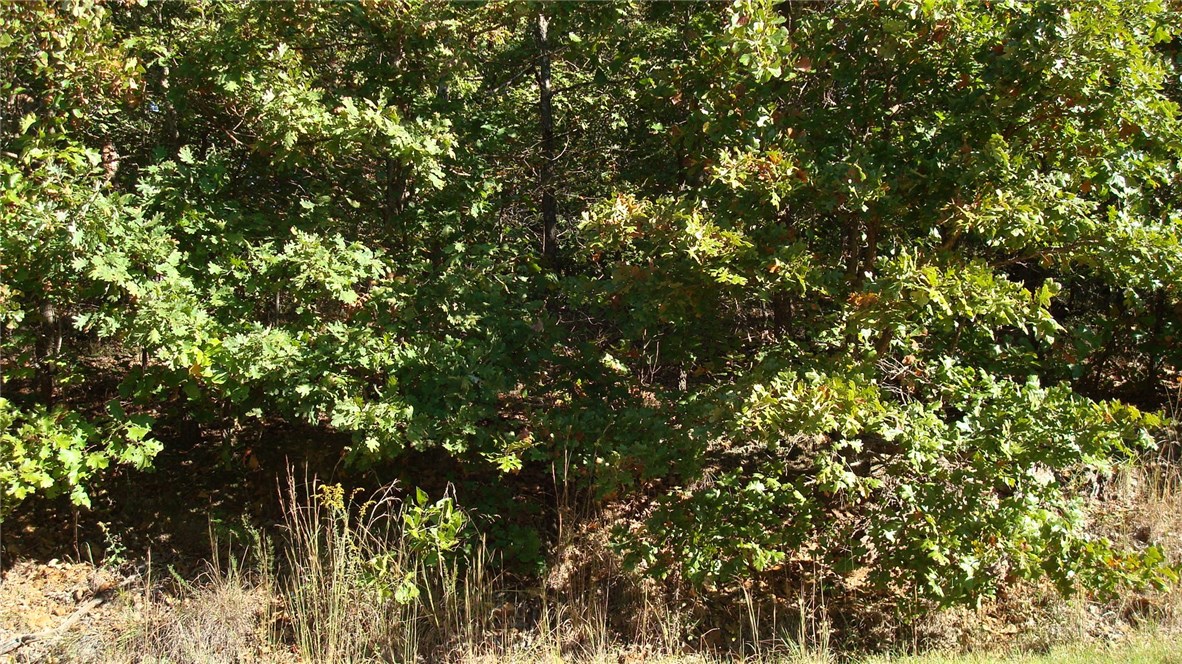 Easy access to I49 bypass, close to Loch Lomond boat ramp.  Several nice homes near-by.  backs to POA land will always be open behind this lot.  Wonderful location to build your home.