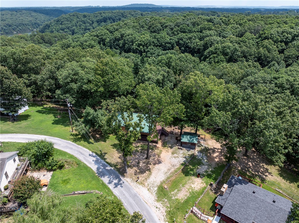 War Eagle Cove Sub - Residential