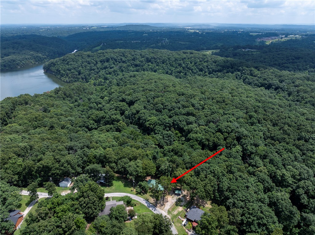 War Eagle Cove Sub - Residential