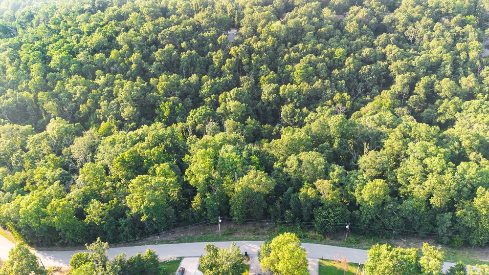 Build your dream home on this wooded lot in Bella Vista, Arkansas. Located on Munster Drive, Lot 25, Block 2 offers privacy and access to Bella Vista’s amenities, including golf courses, scenic lakes like Lake Windsor, parks, and miles of biking and walking trails through the Bella Vista Trail System. Just minutes from Bentonville and attractions such as Crystal Bridges Museum of Art, plus shopping, dining, and entertainment. Perfect for a primary residence, vacation retreat, or investment property. Buyer to verify utilities and POA requirements.