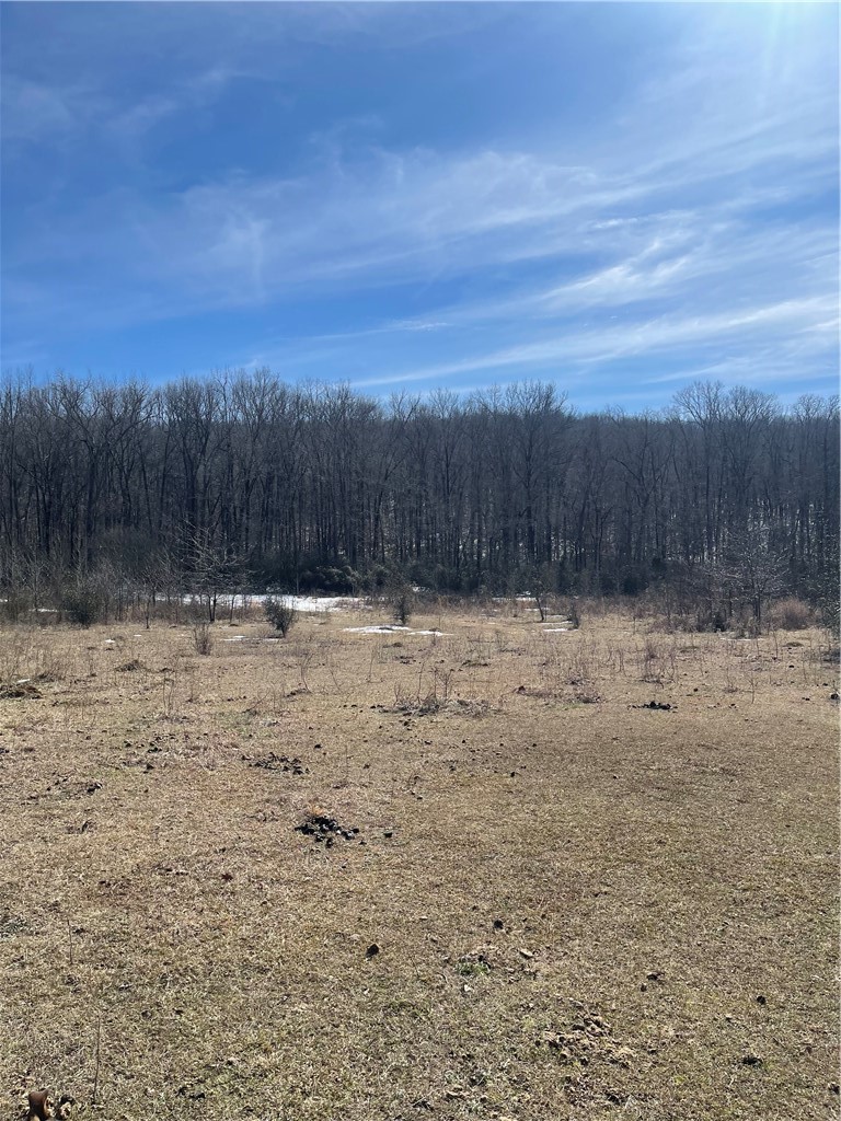 09-03S-17W - Land