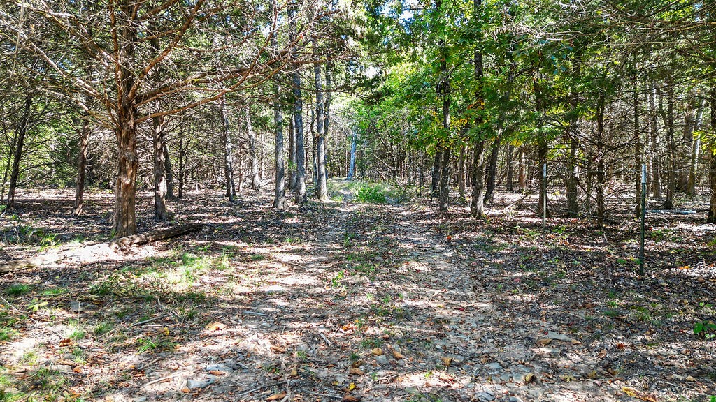 Build Your Dream Home on the Edge of Prairie Grove Rare opportunity to own premier residential land just outside Prairie Grove — where small-town charm meets natural beauty. This exceptional property sits just off pavement, delivering the seclusion you crave without sacrificing everyday convenience. Public water available at the road, making this build-ready land an effortless next step toward your custom home. The grounds showcase dense private woodlands, dramatic natural boulder formations, and select tracts featuring peaceful small ponds — a landscape that truly sells itself. Whether you envision a level building site or a gently rolling setting with character, multiple tract options let you choose the layout that fits your vision perfectly. Few properties offer this rare combination of privacy, natural features, and accessibility so close to town. Additional acreage available from 20 to 66 acres — see listings #1351800 & #1351803 for more options. Privacy. Convenience. Natural Beauty. This is the​​‌​​​​‌​‌​​​‌‌​​​‌‌‌​​‌​​‌‌​​​​ one.