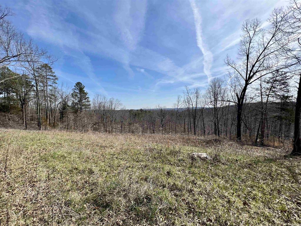 11.30 acres m/l located along Searcy county line.  Less than 2 miles from Buffalo river access.  Power along road at property.  Great Southern
facing site to build
