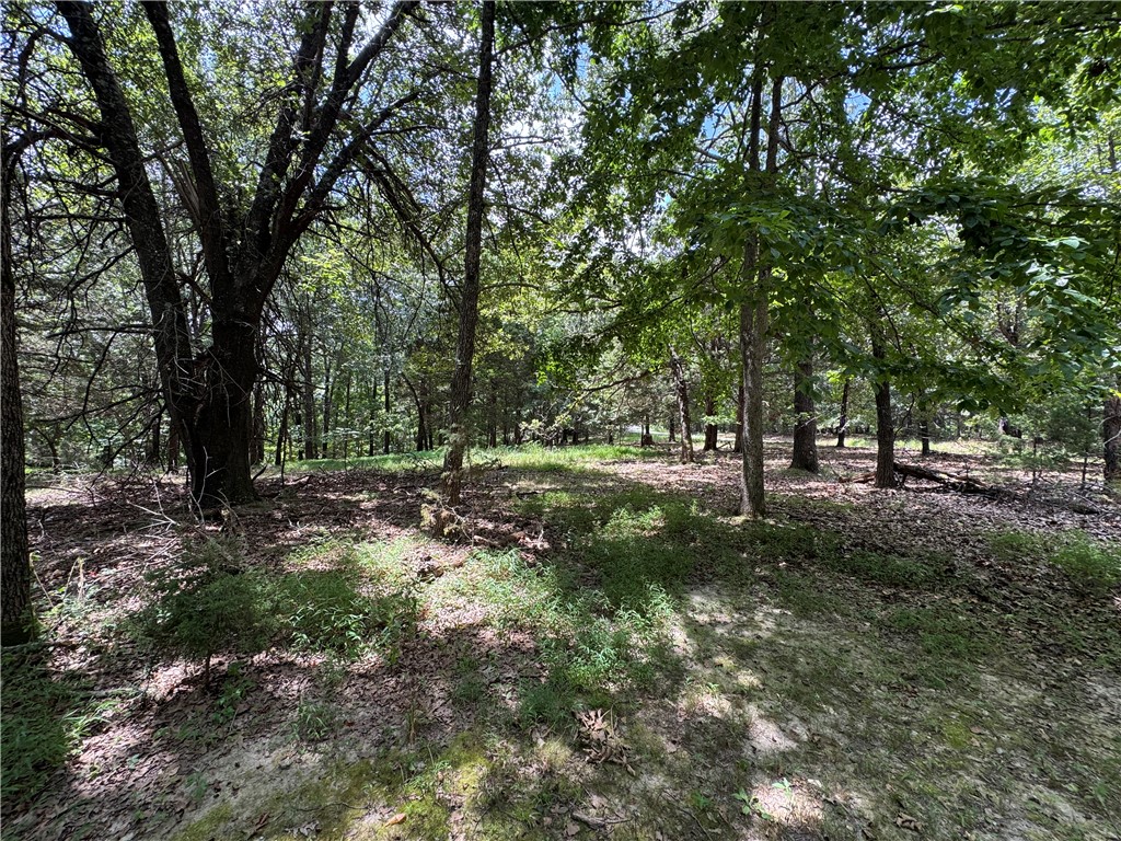 Beautiful 5 +/- acres in Dogwood Estates subdivision. Property topography could allow for seclusion and privacy if desired.