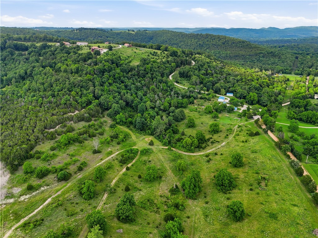 Encompassing 24.41 acres of open pasture, mature woods, and established trail systems, this versatile tract presents an exceptional opportunity for a custom homesite, hobby farm, or recreational retreat in a premier Kings River location. Located directly across the road from the river, the property offers convenient access to Kings River public access & the Arkansas Game & Fish Wildlife Management Area at Rockhouse, placing excellent fishing, kayaking, hunting & outdoor recreation just minutes away. The land features a beautiful mix of gently rolling pasture, mature timber & established trails. Multiple building sites provide ample space for a home or other improvements while maintaining privacy & enjoying the scenic Ozark surroundings. Whether you're seeking a full-time residence, weekend getaway, hobby farm, or recreational property, this tract offers flexibility, seclusion & exceptional river proximity. Additional adjacent & adjoining acreage is also available separately for those seeking expanded acreage.