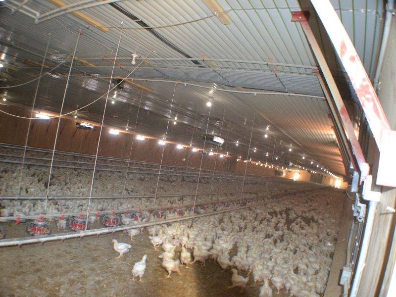 . - Farm