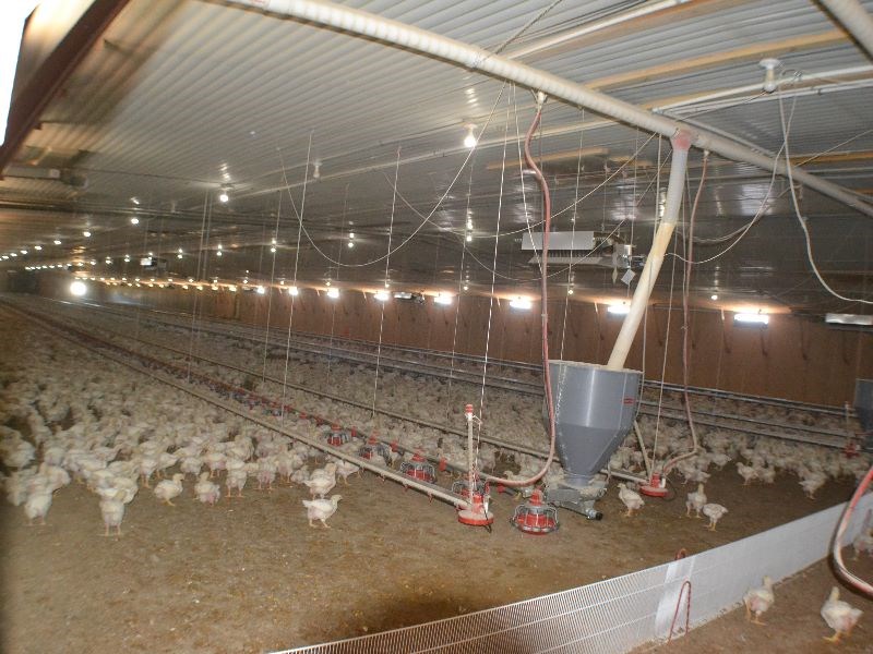 . - Farm