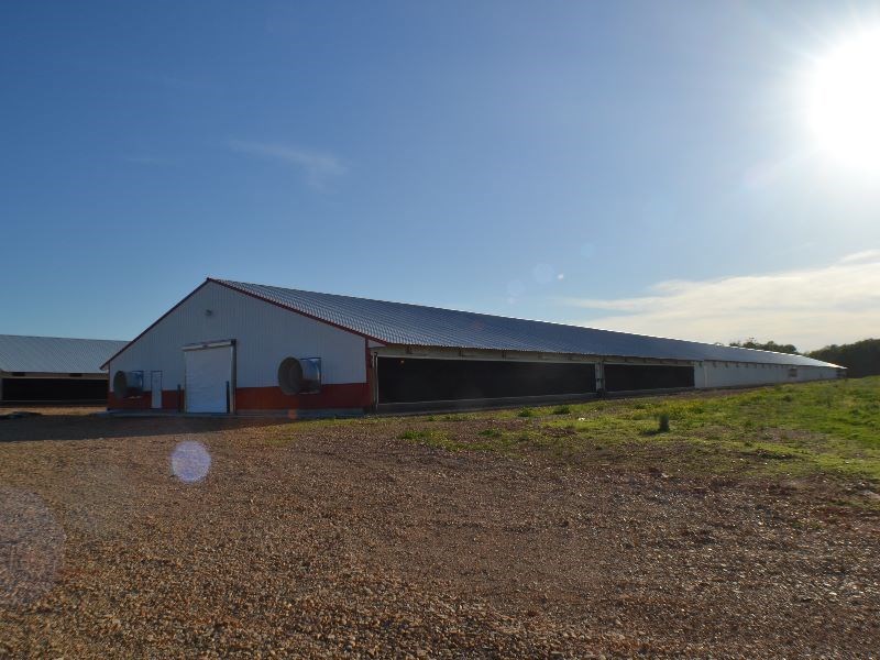 . - Farm