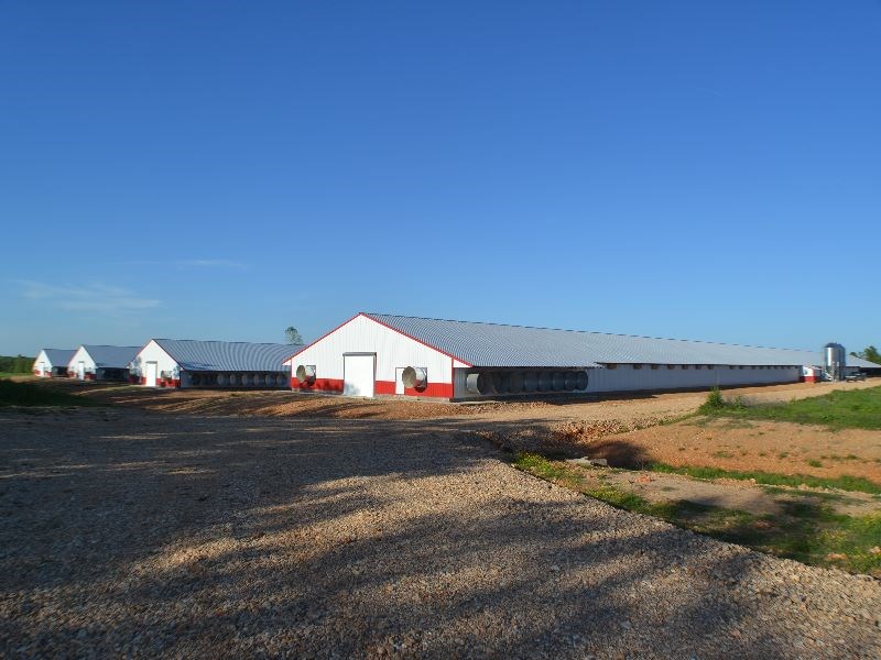 Brand New 4 house broiler farm on 60 acres. This farm is on it's 3rd flock Less than a year old. New 3 bedroom 2 bath dwelling included. 2 additional pads all ready for 2 more houses when company approves.  Balance of land is open with lush grazing.