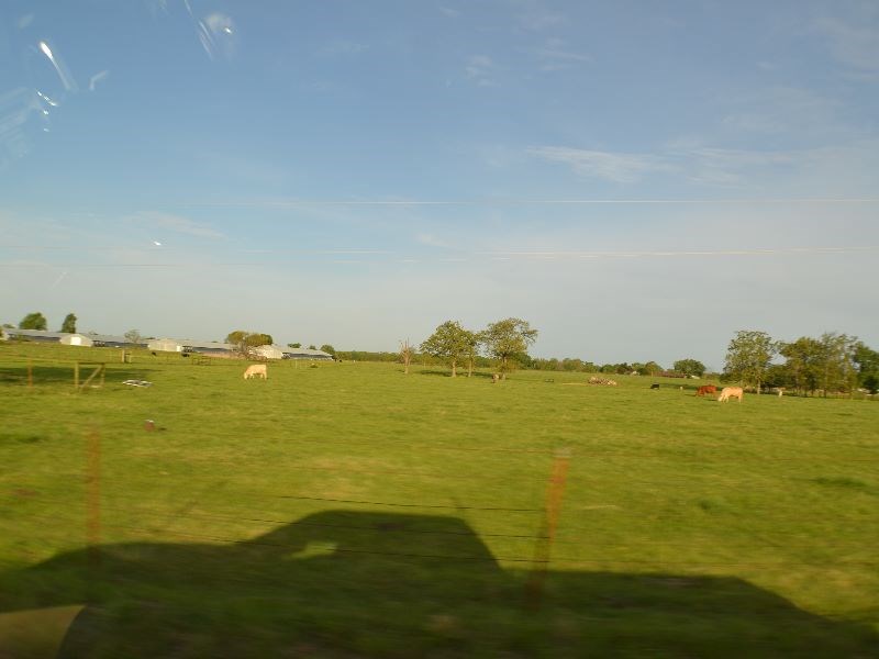. - Farm