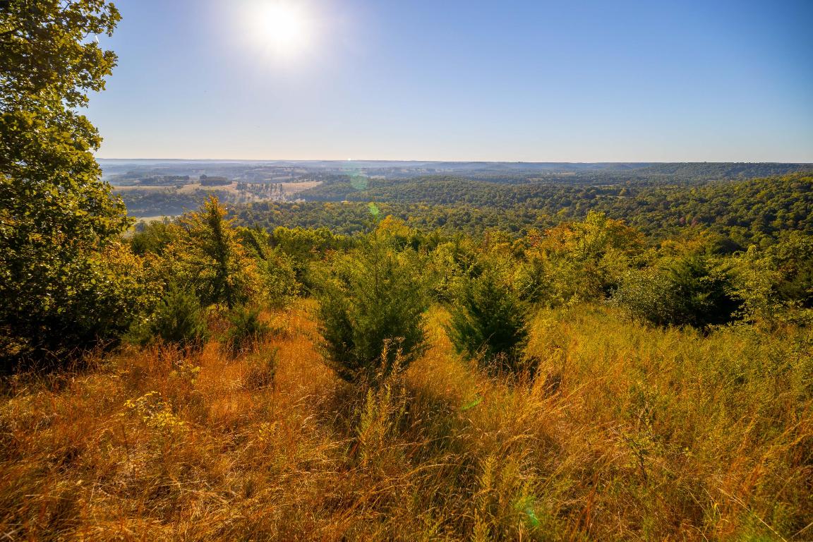 All wooded tract with a million dollar view of the Ozarks. GEO Location 36.405111, -93.021214