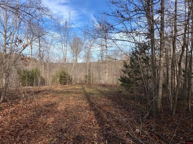 14 ACRES M/L OF LAND FOR SALE NEAR THE BUFFALO RIVER. Discover your dream property with this stunning 14 acre m/l parcel of land, perfectly situated near the picturesque Buffalo River. Whether you are looking to build your dream home, establish a vacation retreat, or invest in a promising piece of real estate this is an ideal piece of property. No restrictions. Just a stone’s throw away from the beautiful Buffalo River, you’ll have easy access to the recreational waterways in the region. Perfect for fishing, kayaking, and nature exploration. The property is equipped with essential utilities, including electric, water, , and fiber optic internet. Multiple building spots. Trails are built throughout the property to have fun with hiking or 4 wheel trails. With no restrictions & near a major natural attraction makes this an excellent investment opportunity. The growing popularity of the Buffalo River area ensures long-term value appreciation. For more information contact us at 870-453-2520