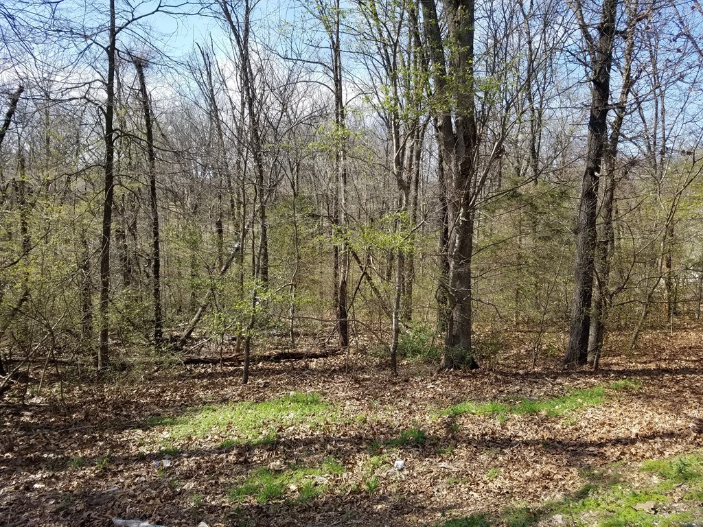 Redwick Sub Bvv - Land