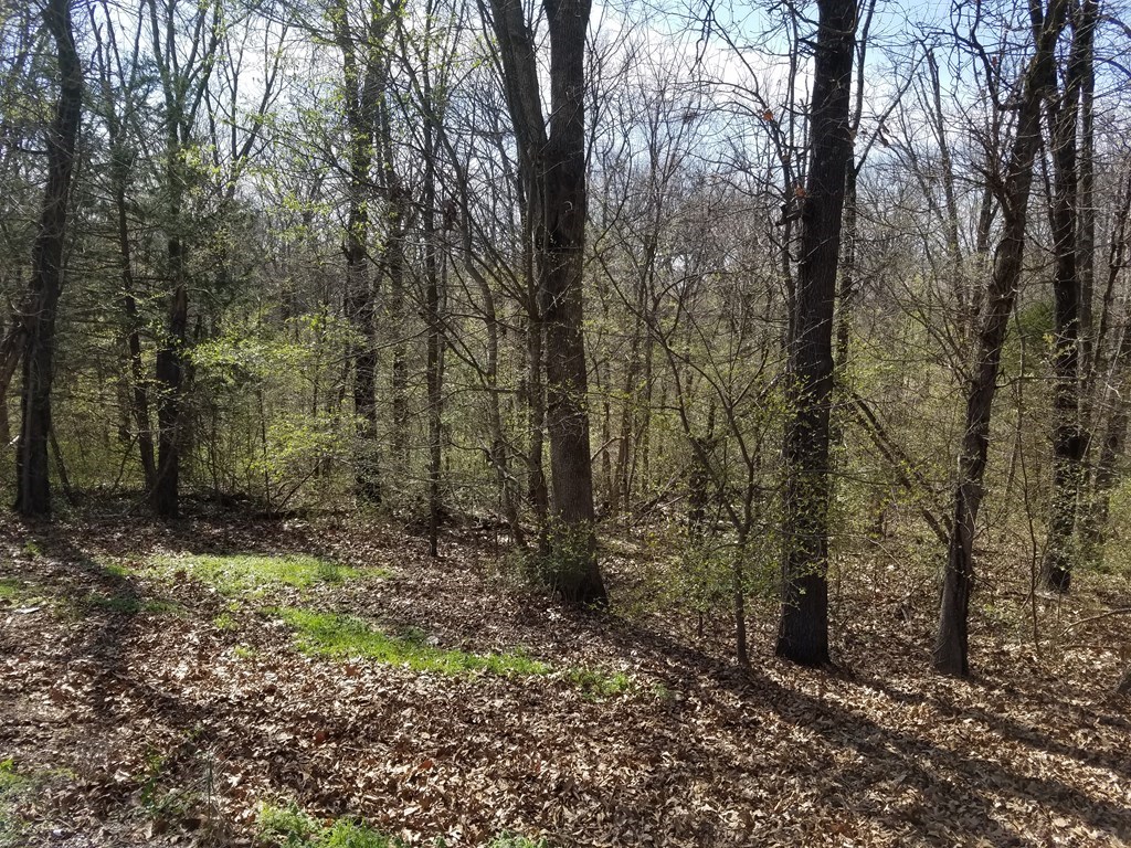 Redwick Sub Bvv - Land
