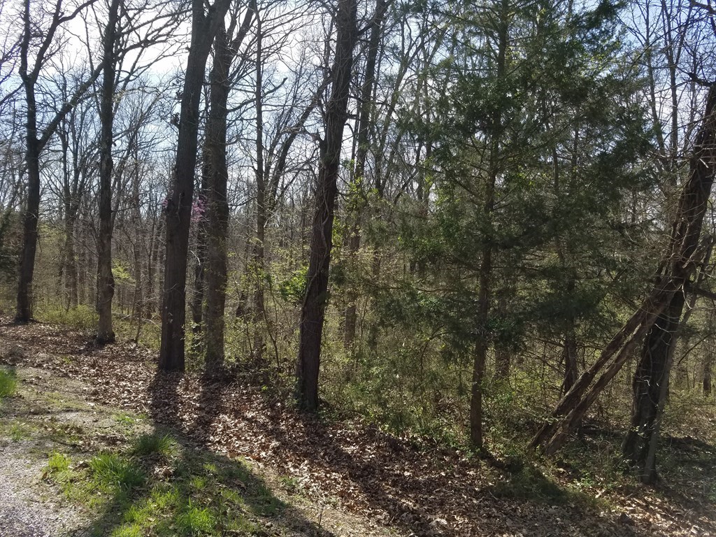 Redwick Sub Bvv - Land