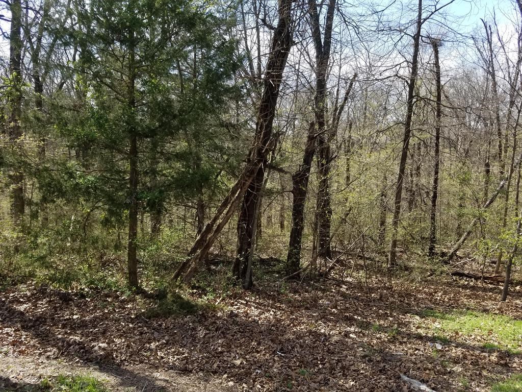 Gently sloping lot is perfect for a walk out basement floor plan or built up foundation. Gain access to all the amenities Bella Vista has to offer, including golf, fishing/boating, walking trails, exercise clubs, restaurants, etc. Close to Kingswood Golf Course. Bentonville Schools.