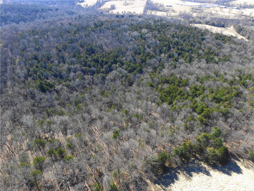 no - Land