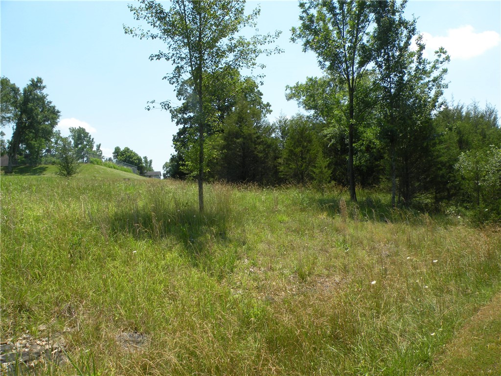 Unit 110 Holiday Island - Land