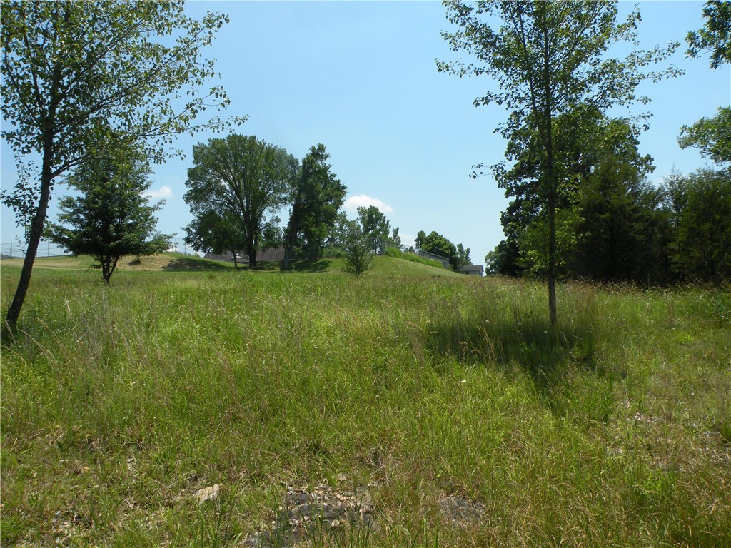 Unit 110 Holiday Island - Land
