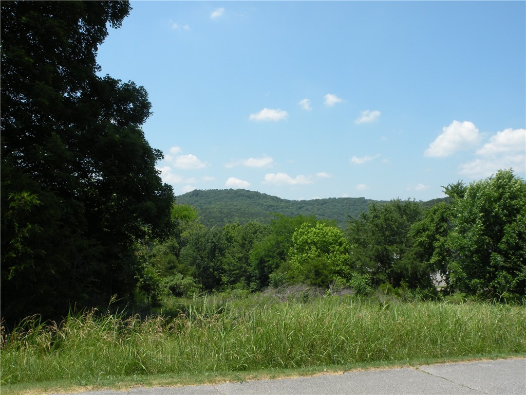 Gentle sloping lot, one tier from Table Rock Lake. Property backs up to a parcel which backs up to the Recreation Center property.  Walk to the pools and more or have a short ride in your golf car to the 9 hole golf course.  North/south lot with a view or nature across the lake from Oaks Landing. Convenient location and gentle slope.