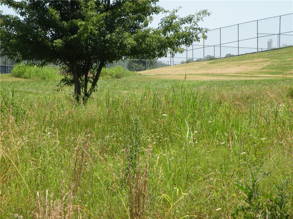 Unit 110 Holiday Island - Land