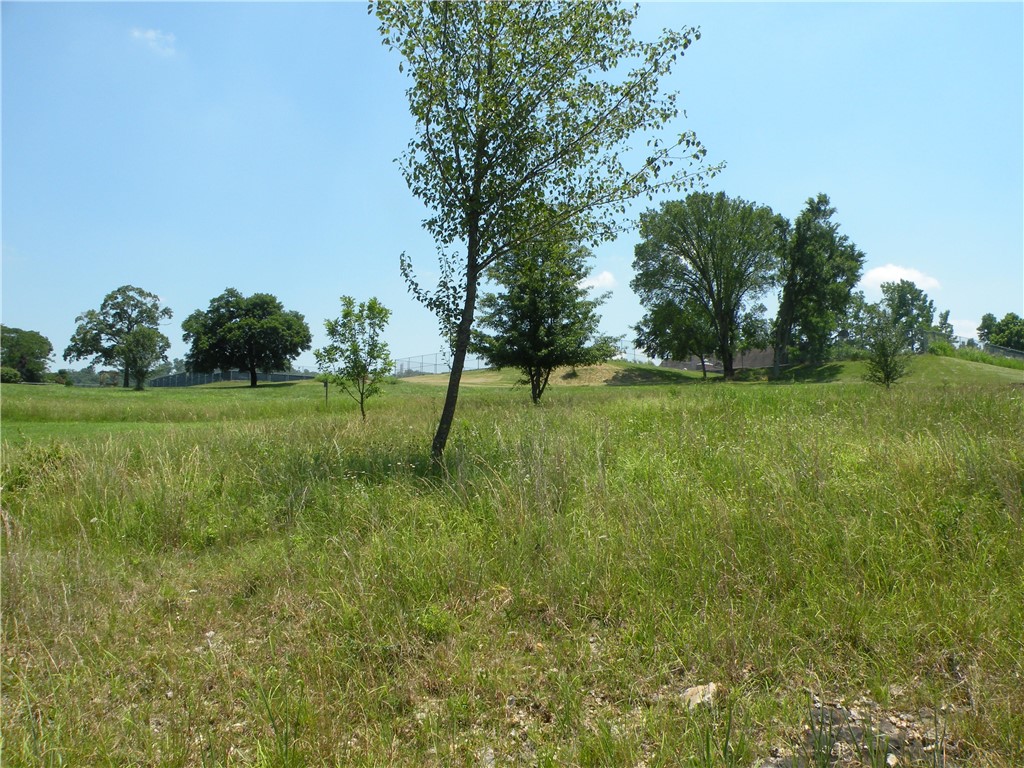 Unit 110 Holiday Island - Land