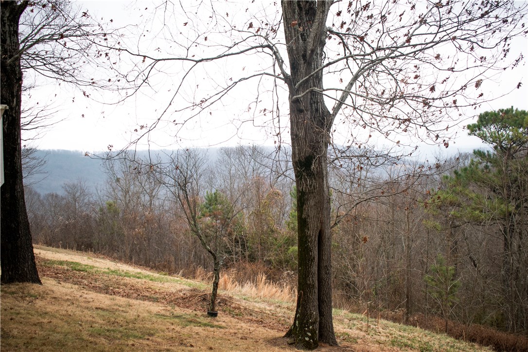 Boston Mountain Estates - Residential