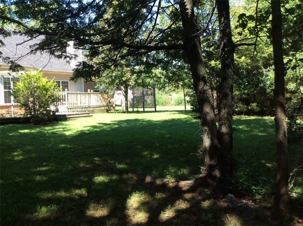 Madison Ave - Residential Lease