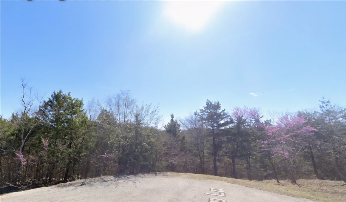 Lots of room to place a manufactured home on this 1.35 (+/-) acre lot that is at the end of a cul-de-sac in Holiday Island! It is only minutes from the lake and marina, local amenities and the Missouri border. Property conveys a Limited Warranty Deed only. Call or text for more information.